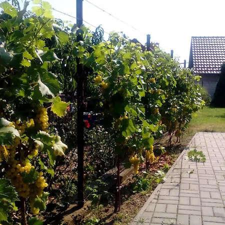 Pensjonat U Sklipku Vacenovice